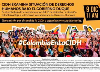 Organizaciones de la sociedad civil pedimos a la CIDH una visita oficial a Colombia