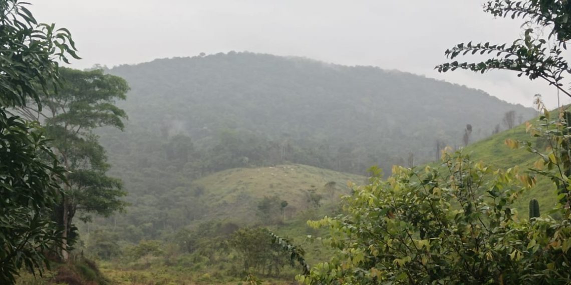 Se agudiza la crisis humanitaria en el Nordeste antioqueño