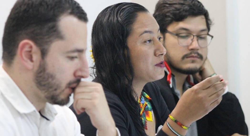 Vocerías ante la comunidad internacional