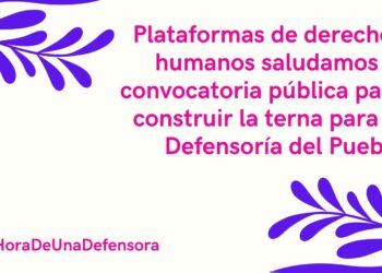 Plataformas de derechos humanos saludamos la convocatoria pública para construir la terna para la Defensoría del Pueblo