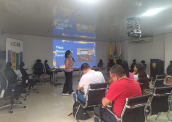 COMITÉ DE IMPULSO MESA TERRITORIAL DE GARANTÍAS DEL HUILA