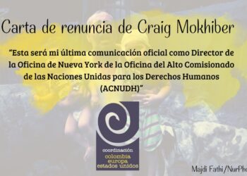 Carta de renuncia de Craig Mokhiber, director de la Oficina del Alto Comisionado de las Naciones Unidas para los Derechos Humanos en Nueva York
